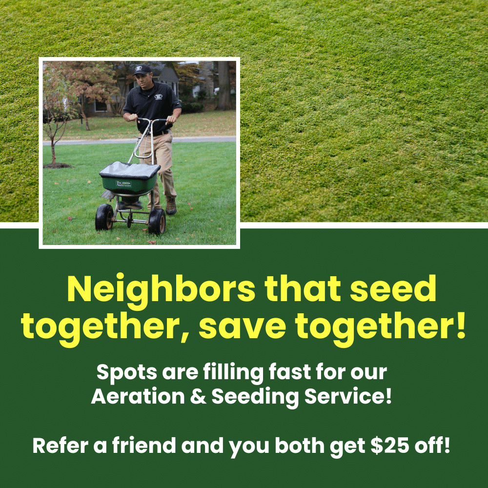 Spots are filling fast for our Aeration & Seeding Service! Neighbors that seed together, save together! Refer a friend and you both get $25 off! Contact Us Today!