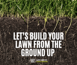 Blog Post-Healthy Lawns Start Underground Why Fall Is the Secret Season for Strong Roots