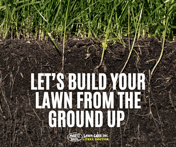 Blog Post-Healthy Lawns Start Underground Why Fall Is the Secret Season for Strong Roots