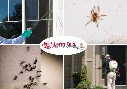 Perimeter Pest Control - Martz Bros Lawn Care Inc