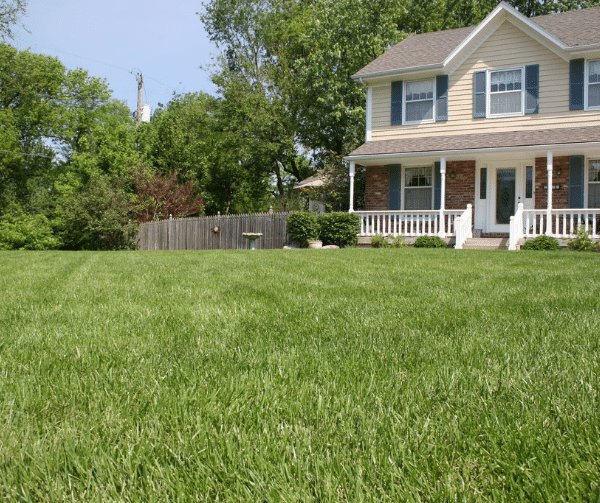 The Moment Kansas City Lawns Come Back to Life