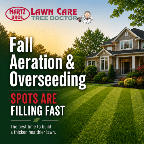 Fall Aeration & Overseeding
